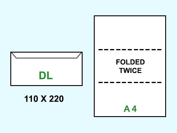 The Official Looking DL Envelopes