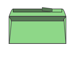 Strip seal envelopes